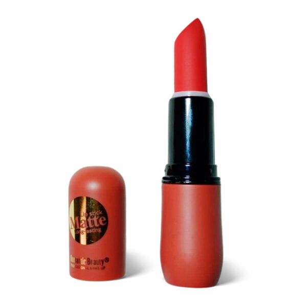 kit x6 lipstick labial mate profesional