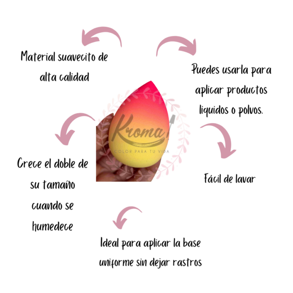 Beauty Blender Bloomshell Profesional - Image 2