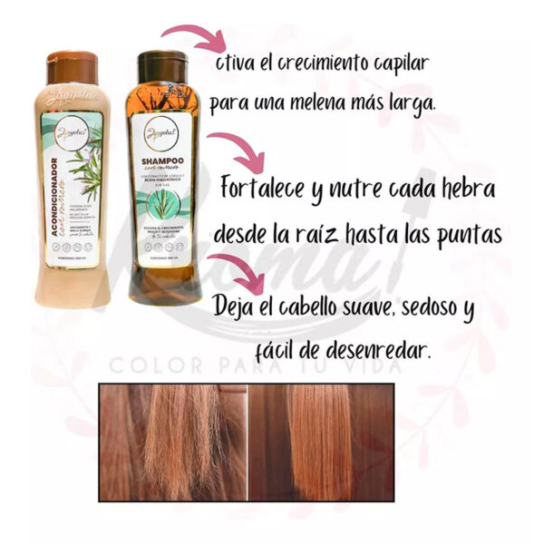 Kit Shampoo + Acond Romero Crecepelo Anyeluz - Image 2