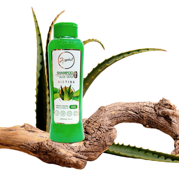 Shampoo Antigrasa Anyeluz Aloe Vera - Image 3