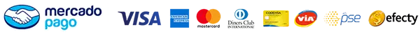 Img-KromaSpace-LogosMetodosPago-1