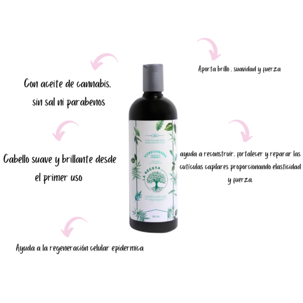 Acondicionador de Cannabis Crecimiento capilar La receta - Image 2