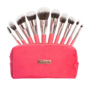 Kit x10 brochas rosadas velvet con estuche Trendy