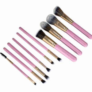 Kit x10 brochas de Brochas Singalore Montoc