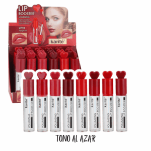 Gloss Hidratante lip booster Karite