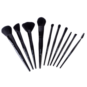 Kit de Brochas x10 Elaya